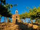 Red Willow Vineyards with stone chapel (PR) Art Print